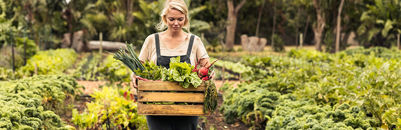 Woman in garden with basket of vegetables