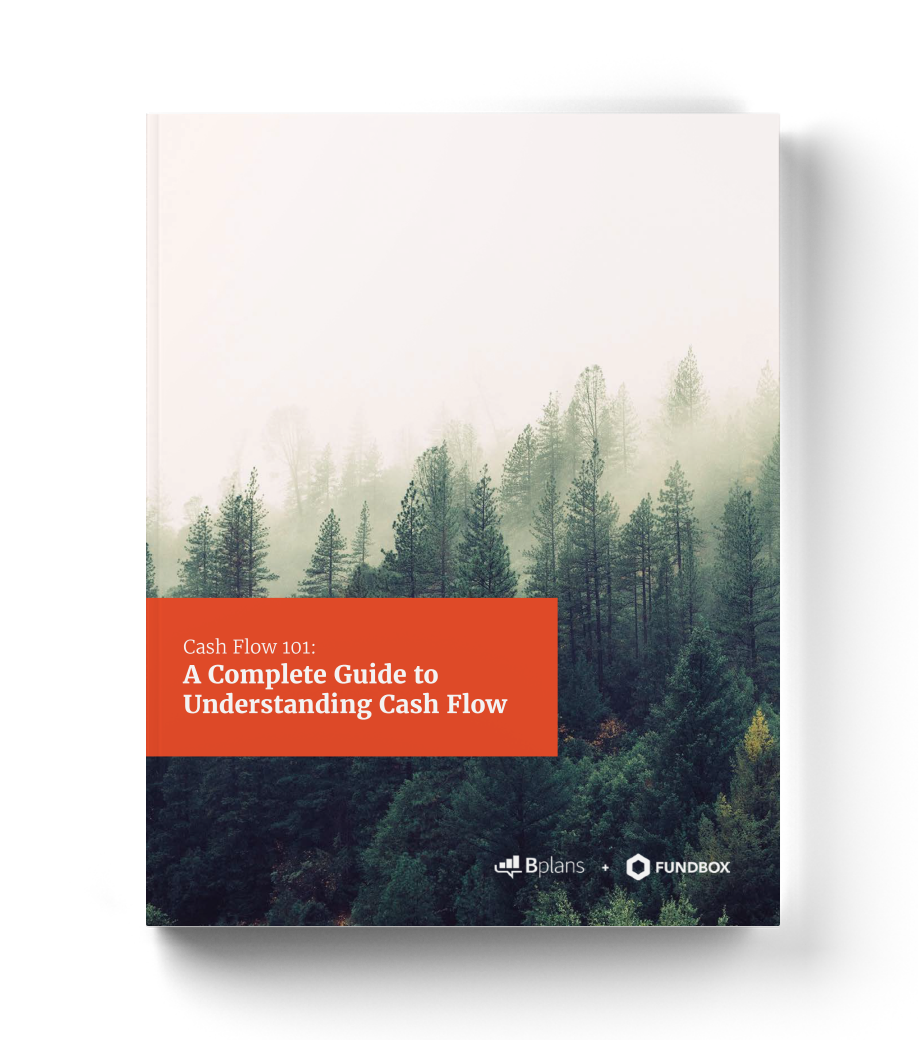 Cover of Cash Flow 101 eBook