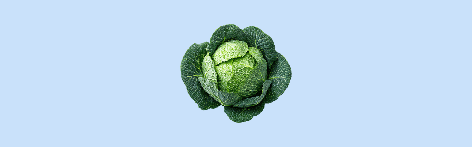 Lettuce on light blue background