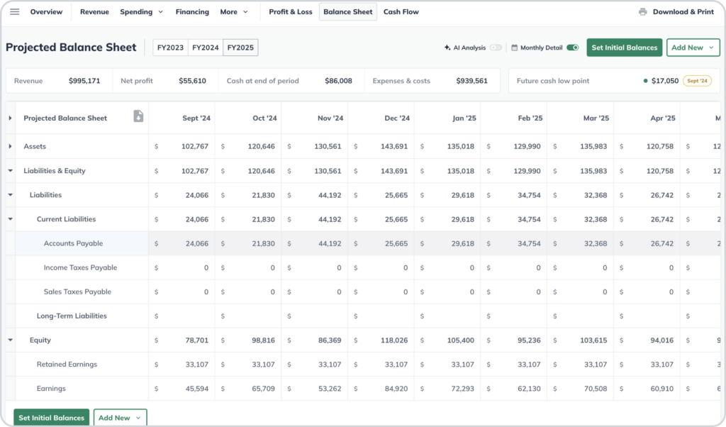 Liveplan balance sheet example 1024x602