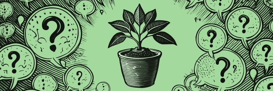 The illustration features a potted plant at the center, symbolizing growth, surrounded by numerous speech bubbles with question marks, representing various questions that arise when planning for business growth. The background is green with a sketch-like design.